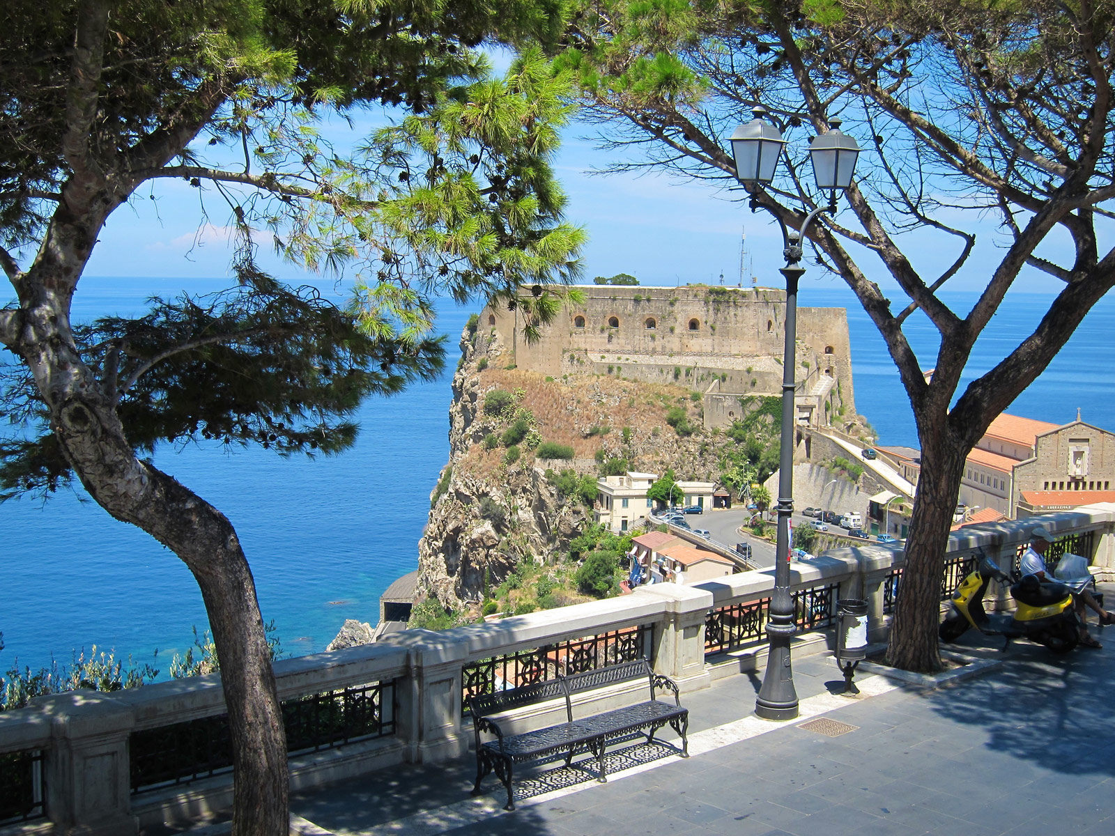 Scilla